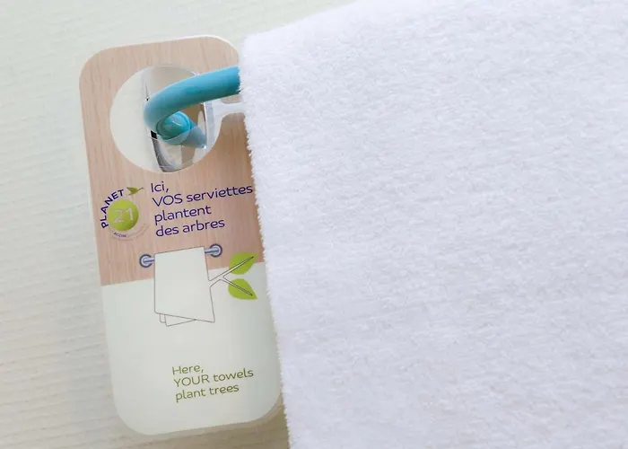 Hotel Ibis Chateau Versalles